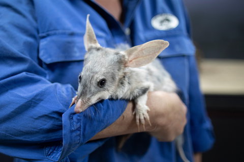 Natural Sciences Loop - Accommodation Mermaid Beach 2