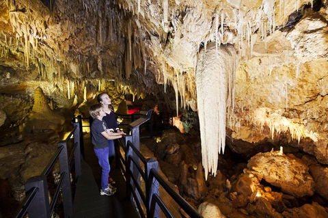 Ngilgi Cave - Accommodation Mermaid Beach 2