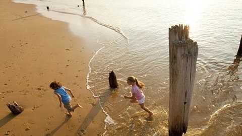 Phillip Island - Accommodation Mermaid Beach 0