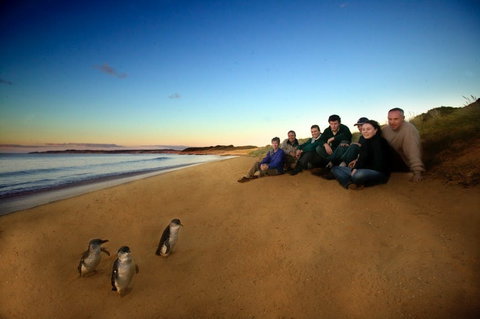 Phillip Island - Accommodation Mermaid Beach 2