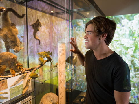 Queensland Museum - Accommodation Mermaid Beach 0