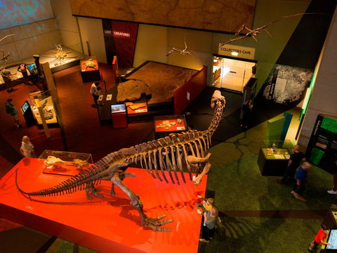 Queensland Museum - Accommodation Mermaid Beach 2