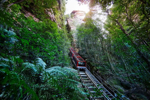 Scenic World Blue Mountains - Accommodation Mermaid Beach 0