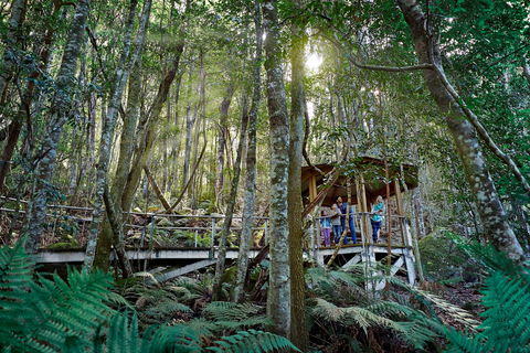 Scenic World Blue Mountains - Accommodation Mermaid Beach 2
