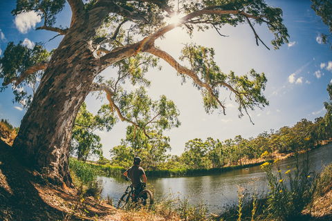 Sturt Gorge Recreation Park - Accommodation Mermaid Beach 0