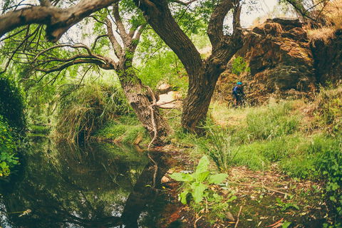 Sturt Gorge Recreation Park - Accommodation Mermaid Beach 1