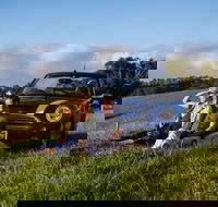 Tourist Drive 28 - Hinterland - Accommodation Mermaid Beach