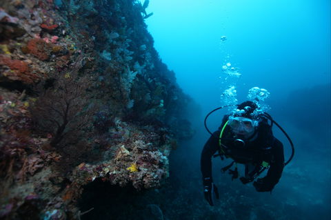 Twelve Apostles Marine National Park - Accommodation Mermaid Beach 0