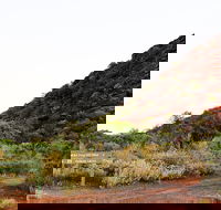 Whyalla Conservation Park - Accommodation Mermaid Beach