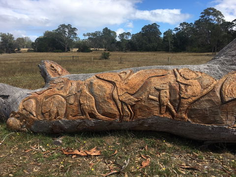 Bilston's Tree - Accommodation Mermaid Beach 1