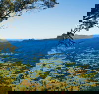 Blackbutt Lookout Picnic Area - Accommodation Mermaid Beach