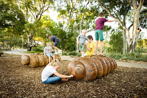 Bonython Park/Tulya Wodli - Accommodation Mermaid Beach 0