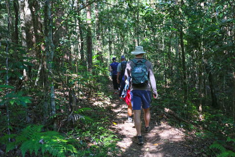 Booloumba Falls Walk, Conondale National Park - Accommodation Mermaid Beach 1