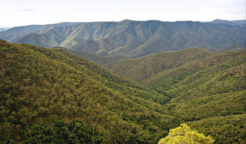 Budds Mare To Riverside Walking Track - Accommodation Mermaid Beach 0