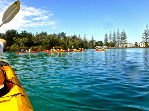 Byron Bay River Nature Kayak Tour - Accommodation Mermaid Beach 0