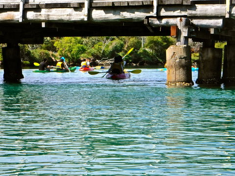 Byron Bay River Nature Kayak Tour - Accommodation Mermaid Beach 1