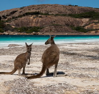 Cape Le Grand National Park - Accommodation Mermaid Beach