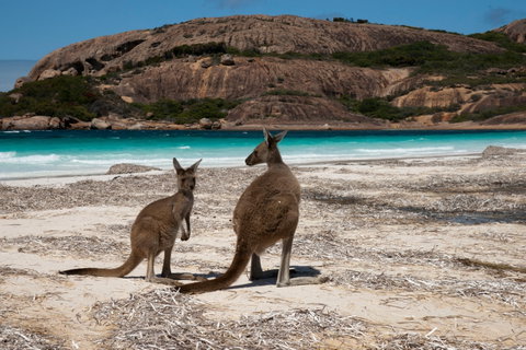 Cape Le Grand National Park - Accommodation Mermaid Beach 0