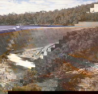 Collie - Accommodation Mermaid Beach