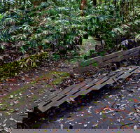 Coombadjha Nature Stroll - Accommodation Mermaid Beach