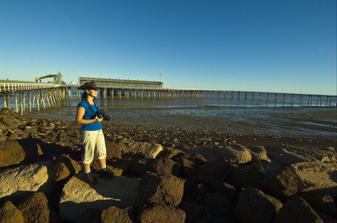 Derby Jetty - Accommodation Mermaid Beach 0