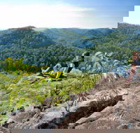 Dubbo Gully Loop Trail - Accommodation Mermaid Beach