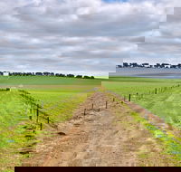 Eudunda - Accommodation Mermaid Beach