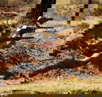 Freycinet Paintball and Campground - Accommodation Mermaid Beach