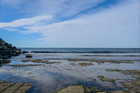 Gondwana Coast Fossil Walk - Accommodation Mermaid Beach 1