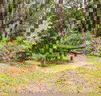 Goodenia Rainforest picnic area - Accommodation Mermaid Beach