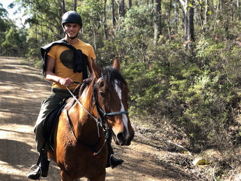Horse Riding Tasmania - Accommodation Mermaid Beach 2