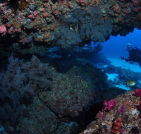 Hutchinson Shoal Dive Site - Accommodation Mermaid Beach