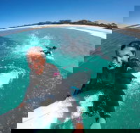 Janie's Corner - Accommodation Mermaid Beach