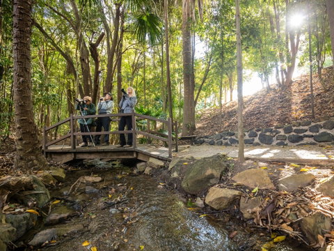 Kholo Gardens Trails - Accommodation Mermaid Beach 1