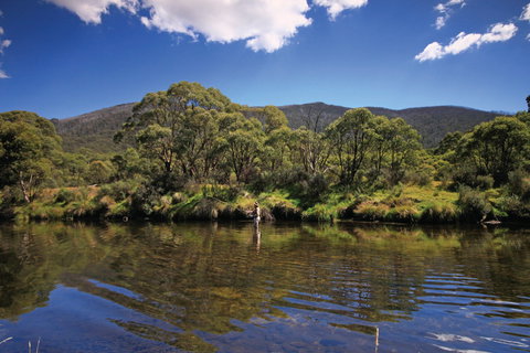 Kosciuszko National Park - Accommodation Mermaid Beach 1