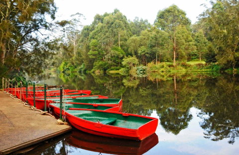 Lane Cove National Park - Accommodation Mermaid Beach 0