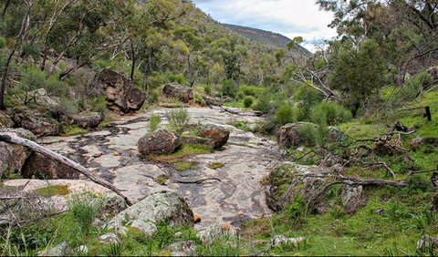 Lynchs Loop Trail - Accommodation Mermaid Beach 0