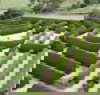 Mintaro Maze - Accommodation Mermaid Beach
