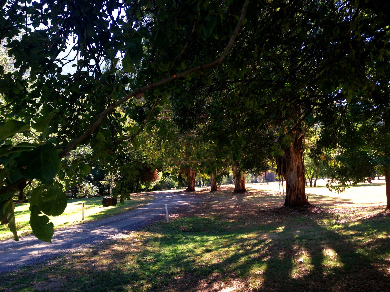 Mirimbah VIC Accommodation Mermaid Beach