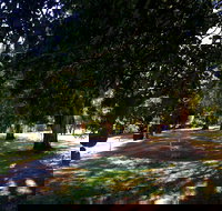 Mirimbah Park - Accommodation Mermaid Beach