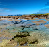 Moonee Beach trail - Accommodation Mermaid Beach