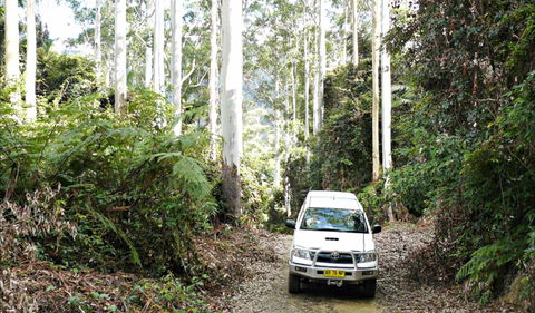 Orara Escarpment 4WD Touring Route - Accommodation Mermaid Beach 0