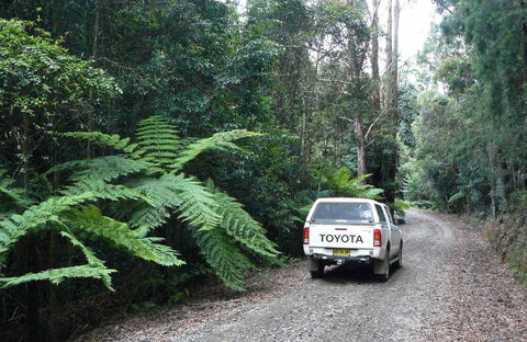 Orara Escarpment 4WD Touring Route - Accommodation Mermaid Beach 1