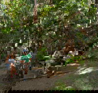 Palms picnic area - Accommodation Mermaid Beach