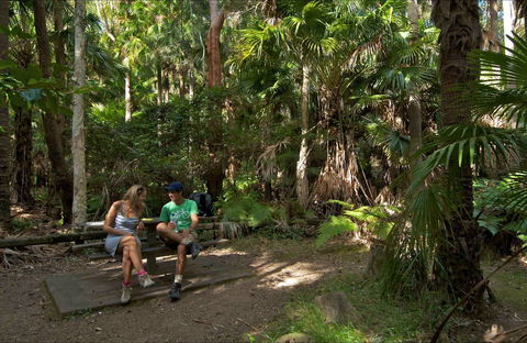 Palms Picnic Area - Accommodation Mermaid Beach 0