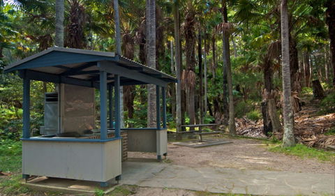 Palms Picnic Area - Accommodation Mermaid Beach 1