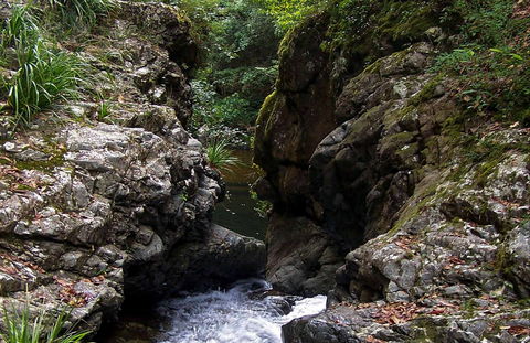 Potoroo Falls Walk - Accommodation Mermaid Beach 0