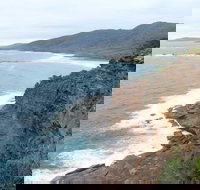 Pretty Beach to Snapper Point Walking Track - Accommodation Mermaid Beach