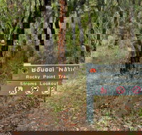 Rocky Point Trail - Accommodation Mermaid Beach