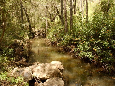 Sandy Creek Track - Accommodation Mermaid Beach 0